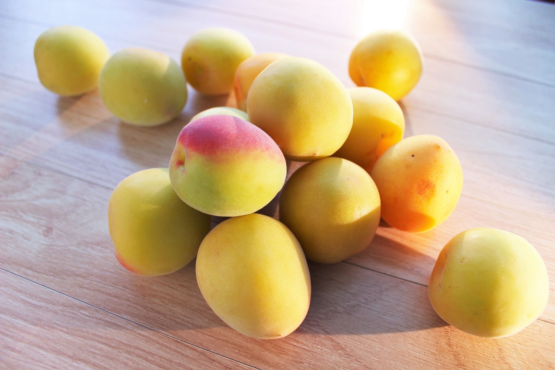 plum-1451489_1920
