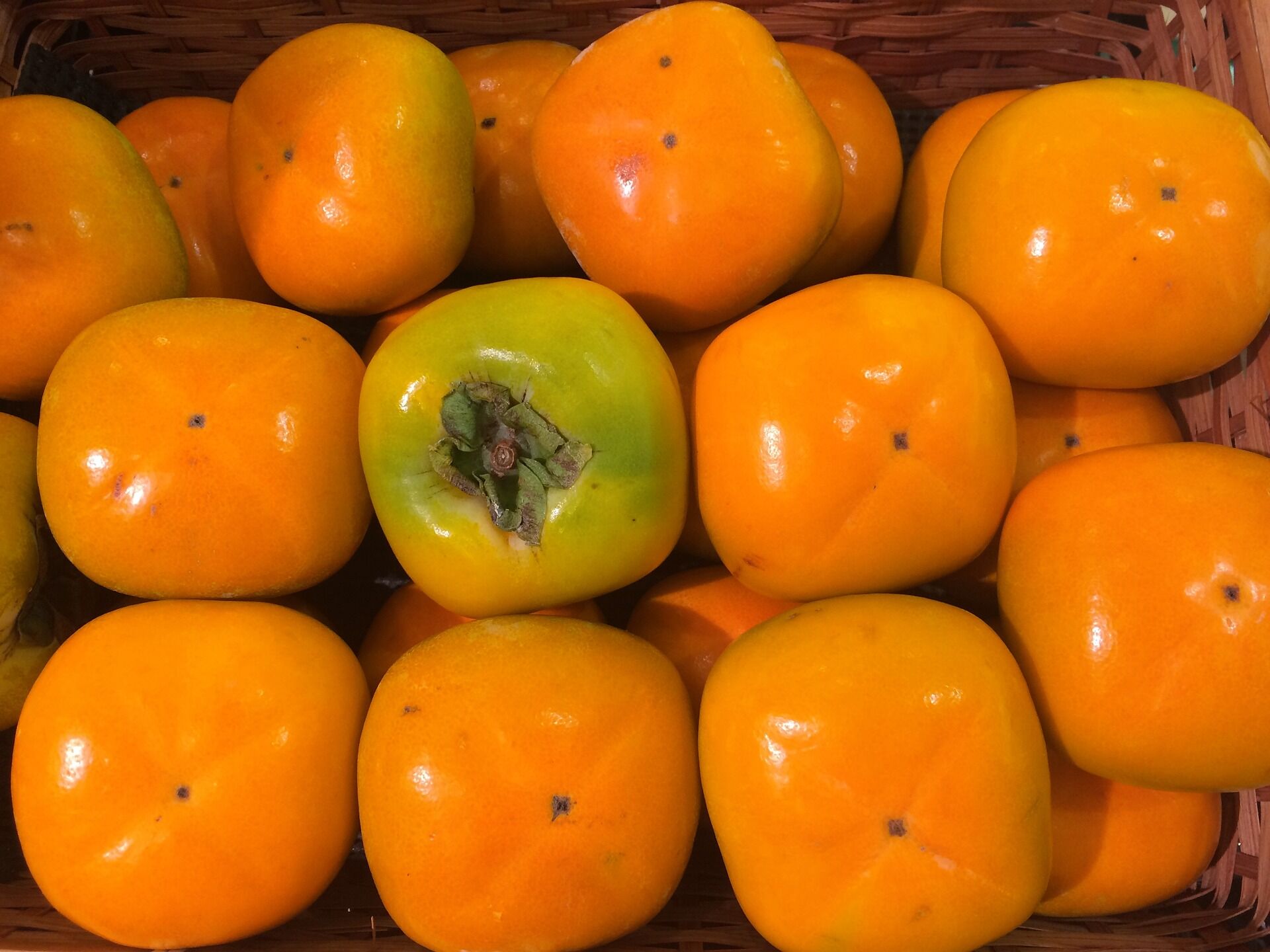 persimmon-1663186_1920